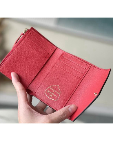 LV Victorine wallet