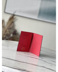 LV YK Passport case wallet