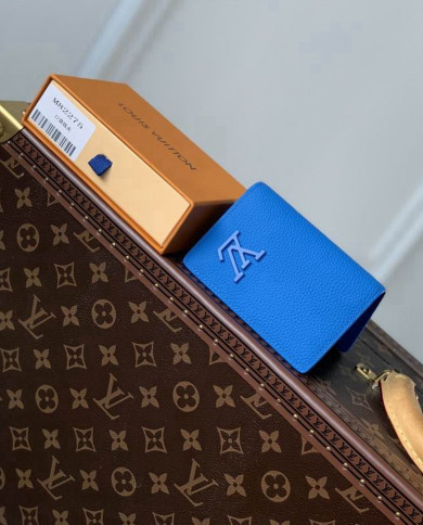 LV Aerogram  Wallet