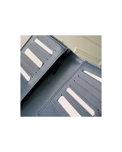 LV  Brazza  Wallet