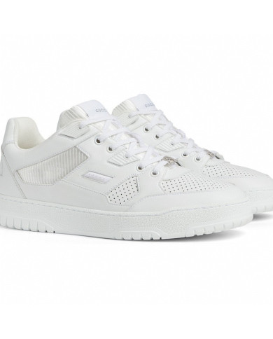 Gucci low cut couple sports shoes
