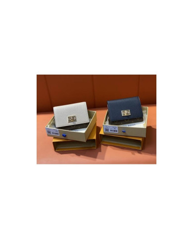 LV  Victorine  Wallet