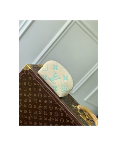 LV Makeup bag