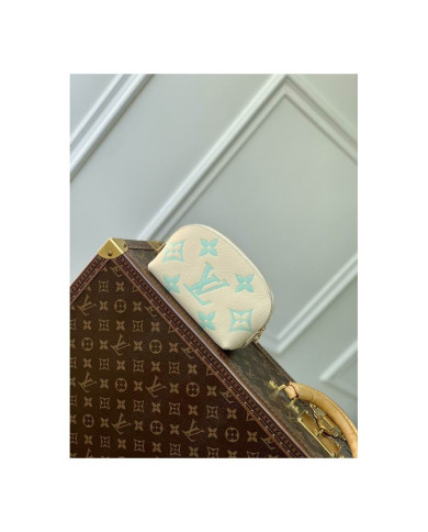 LV Makeup bag