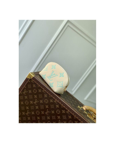 LV Makeup bag
