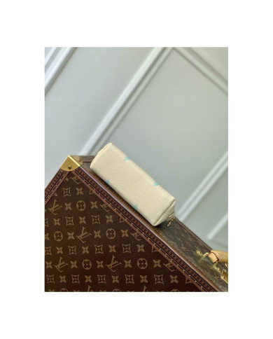 LV Makeup bag