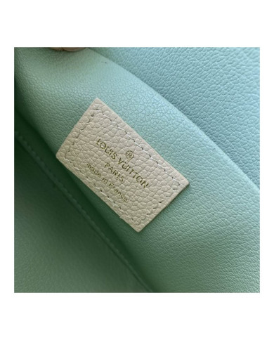 LV Makeup bag