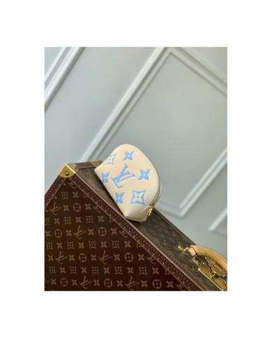 LV Makeup bag