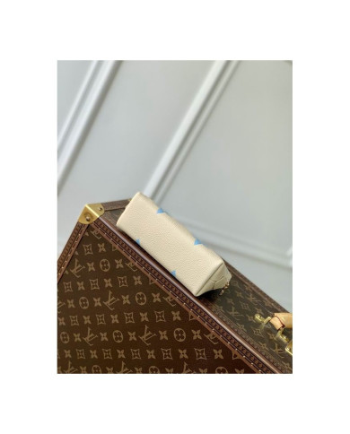 LV Makeup bag
