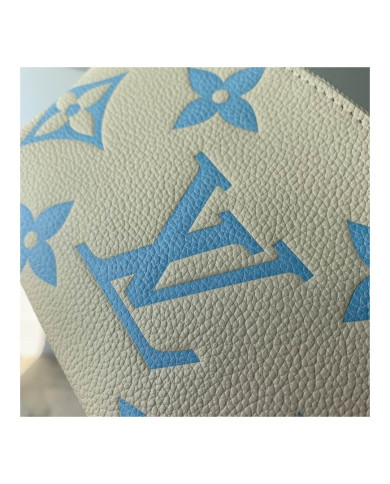 LV Makeup bag