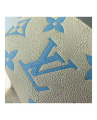 LV Makeup bag