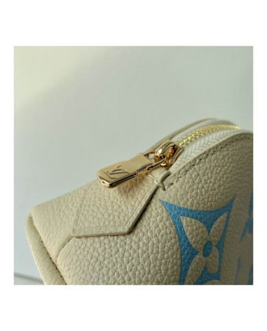 LV Makeup bag