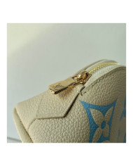 LV Makeup bag