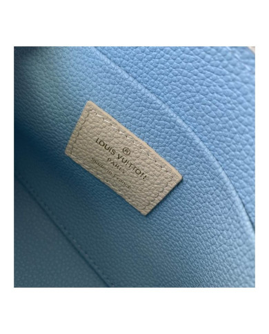 LV Makeup bag