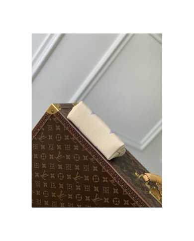 LV Makeup bag