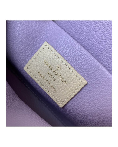 LV Makeup bag