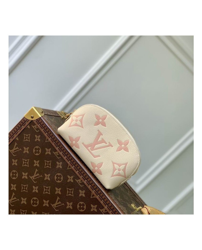 LV Makeup bag