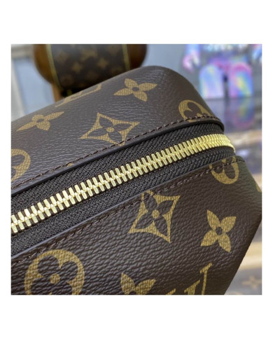 LV Makeup bag