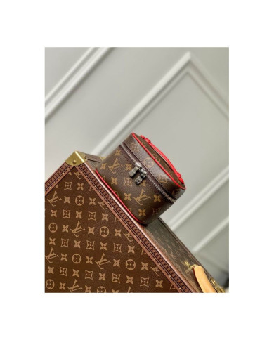 LV  Nice Nano Makeup bag