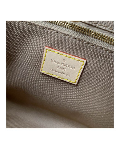LV  Nice Nano Makeup bag