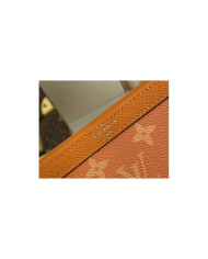 LV  Alpha  Handbag