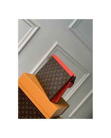 LV  Handbag