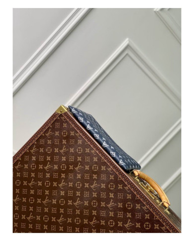 LV   Handbag