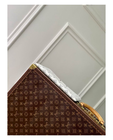 LV   Handbag
