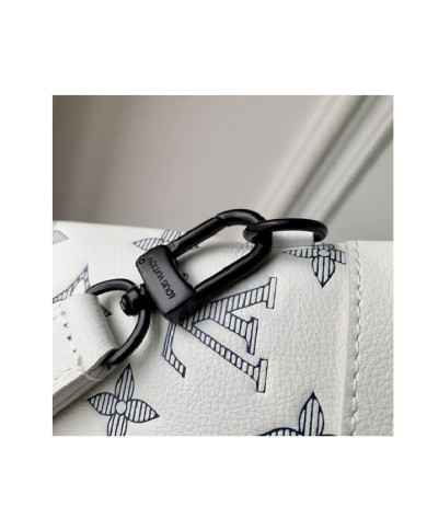 LV   Handbag