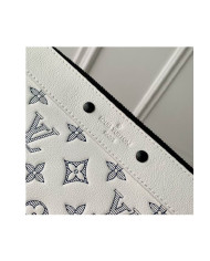LV   Handbag