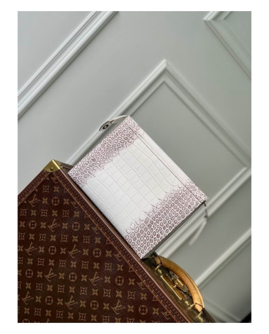 LV   Handbag