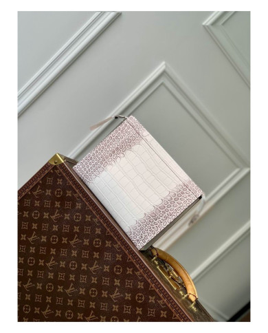 LV   Handbag