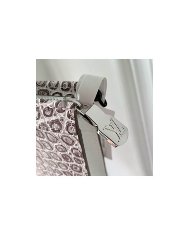 LV   Handbag