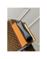 LV Pochette Kasai Handbag