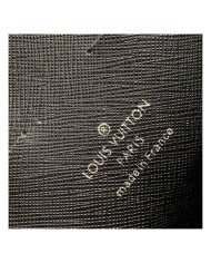 LV Pochette Kasai Handbag