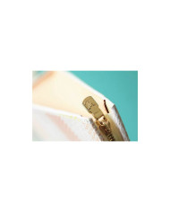 LV pocket Handbag