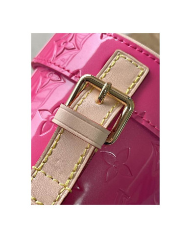 LV  Astor Bucket bag