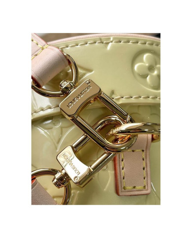 LV  Astor Bucket bag