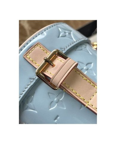 LV  Astor Bucket bag