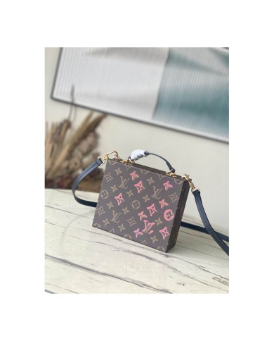 LV  Camera box