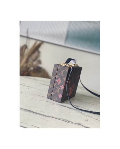 LV  Camera box