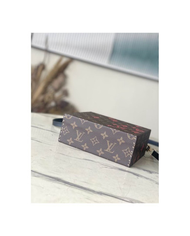 LV  Camera box