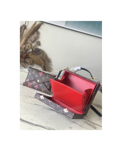 LV  Camera box