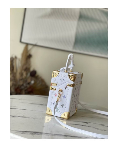 LV  Camera box