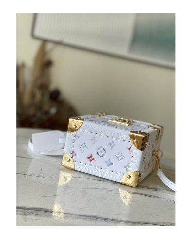 LV  Camera box