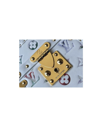 LV  Camera box