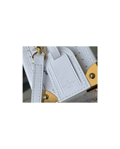 LV  Camera box