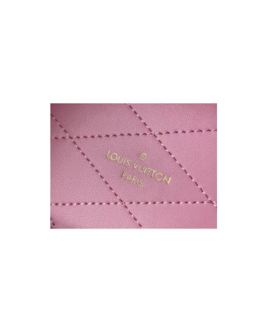 LV  Camera box