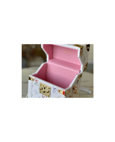 LV  Camera box