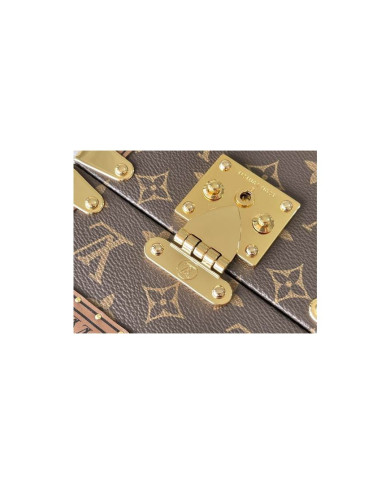 LV  Camera box